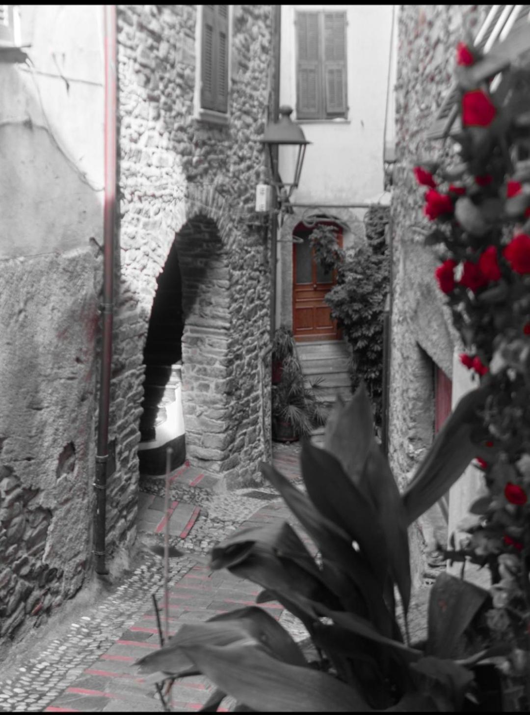 Sweet Home Badalucco 4 Persone 10 Min Dal Mare Exterior photo